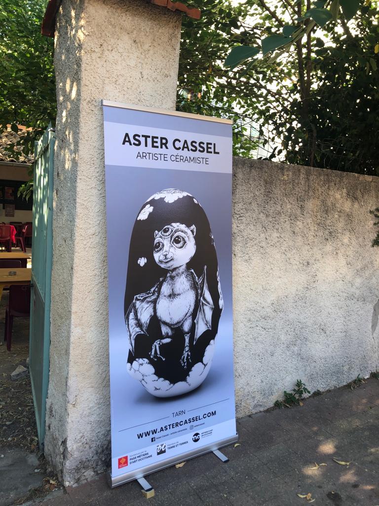 Exposition Aster Cassel